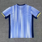 24/25 Tottenham away Fan Version  Soccer Jersey
