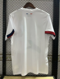 24-25 PSG  away Fan Version Soccer Jersey