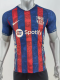 24/25 Barcelona special edition Player Version Soccer Jersey