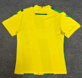 24-25 Nantes home Fan Version Soccer Jersey