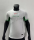24/25  Nigeria home Player Version Soccer Jersey