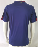 Retro 2010 Spain away Soccer Jersey