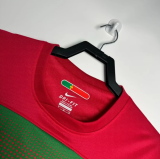 Retro 2010 Portugal home Socce Jersey