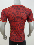 24/25  Portugal Special edition Player Version Soccer Jersey