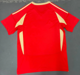 24/25 Standard Liege home Fan Version Soccer Jersey