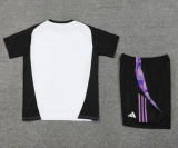 24/25 Germany training suit Soccer Jersey
