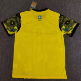 24/25  Brazil Special Edition Fan Version Soccer Jersey