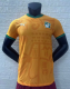 24/25 Ivory Coast home  Player Version  Soccer Jersey 科特迪瓦