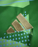 24/25  Argentina Goalkeeping uniform Fan Version Soccer Jersey (3 Stars 3星)
