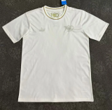 24/25  Colombia 100th anniversary edition Fan Version Soccer Jersey