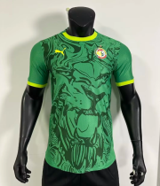 25/26 Senegal away Player Version Soccer Jersey