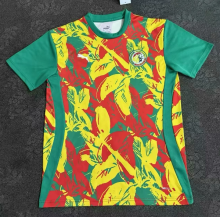 25/26 Senegal Pre-race training uniform Fan Version Soccer Jersey