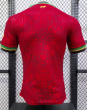 24/25 Portugal Special edition Player Version Soccer Jersey