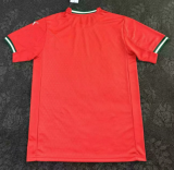 25/26 Portugal home Fans Version Soccer  Jersey