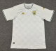 25/26 Tunisia Special Edition white Fans  Version Soccer jersey