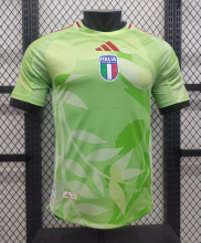 25-26  Italy away Player Version  Soccer Jersey