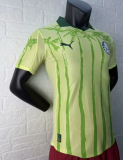 25/26 Palmeiras away Playe  Version Soccer  Jersey