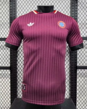 25/26 Bayern Munich special edition Player Version Soccer Jersey