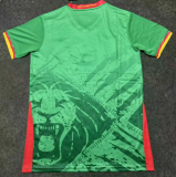 25/26 Cameroon home Fan Version Soccer Jersey