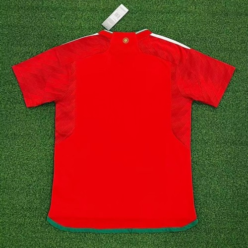 23/24 Wales home football Jersey