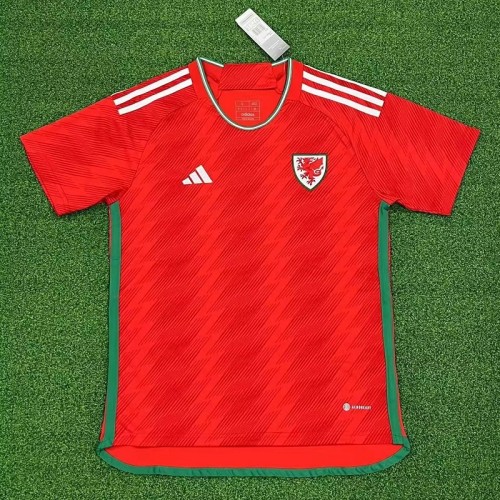 23/24 Wales home football Jersey