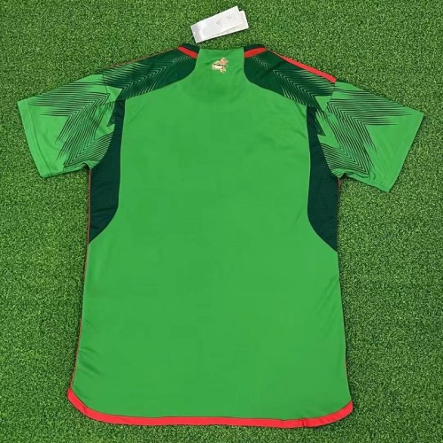 2022-2023 Mexico National Team home football Jersey S-4XL