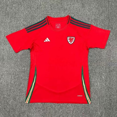 24/25 Wales home football Jersey