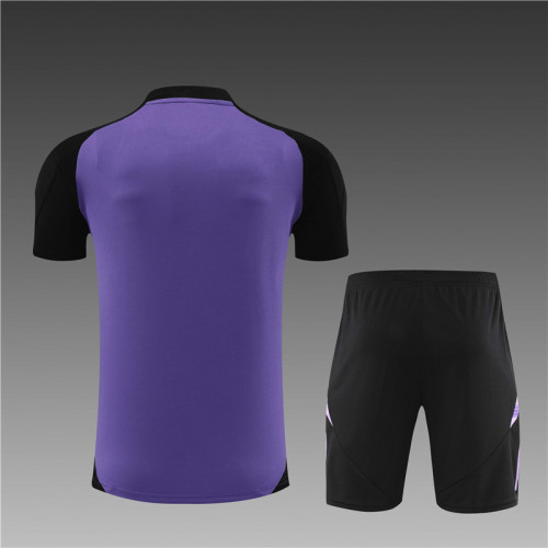 24/25  Germany short -sleeved training suit Purple