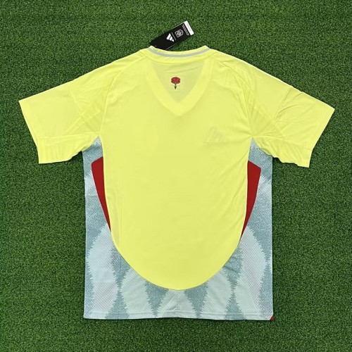 24/25 Spain Away football Jersey