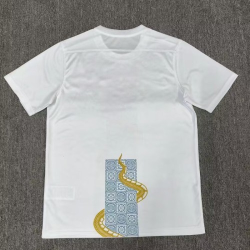 25/26 Tottenham Hotspur Year of the Snake Special Edition football jersey