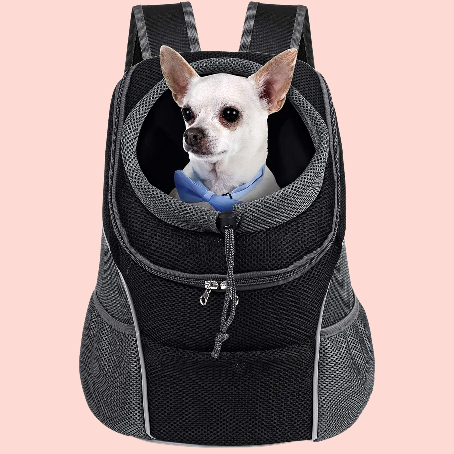 personal dog carrier