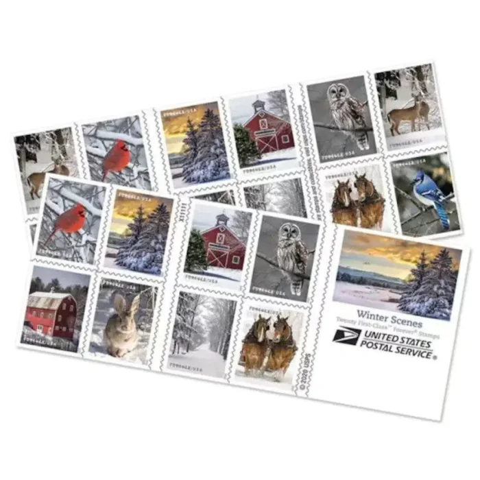 2020 Winter 5 Booklets 100pcs