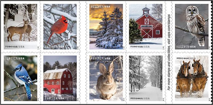 2020 Winter 5 Booklets 100pcs