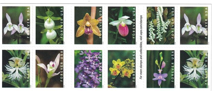 2020 Wild Orchids 5 Booklets 100pcs