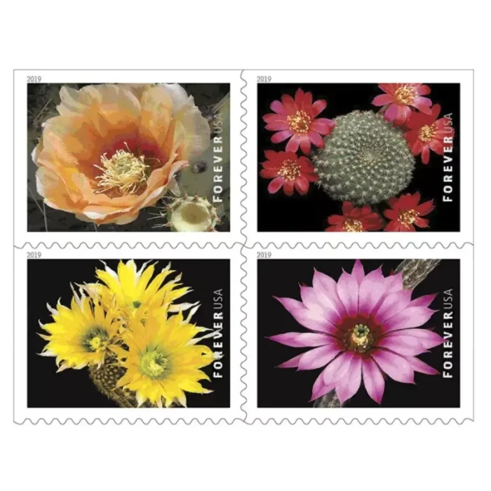 2019 Cactus Flowers 5 Booklets 100pcs