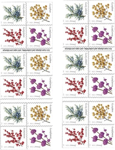 2019 Winter Berries 5 Booklets 100pcs