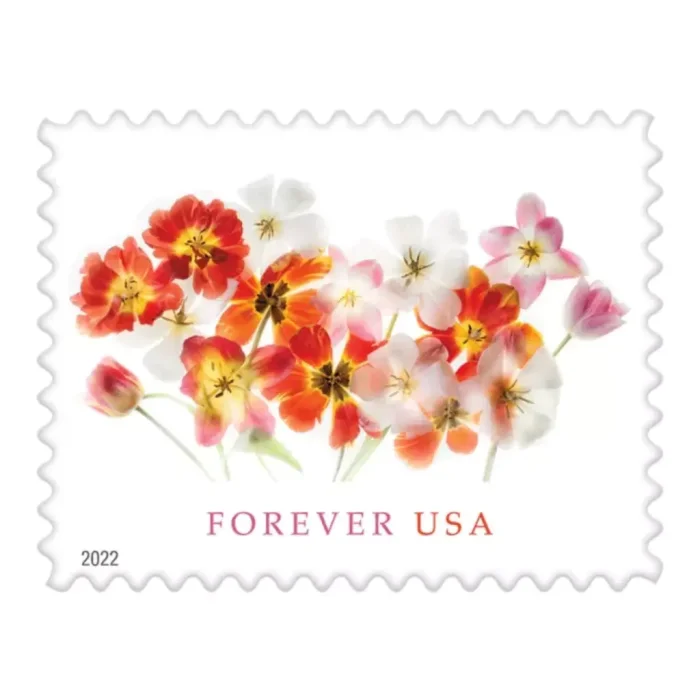 2022 Tulips 5 Booklets 100pcs