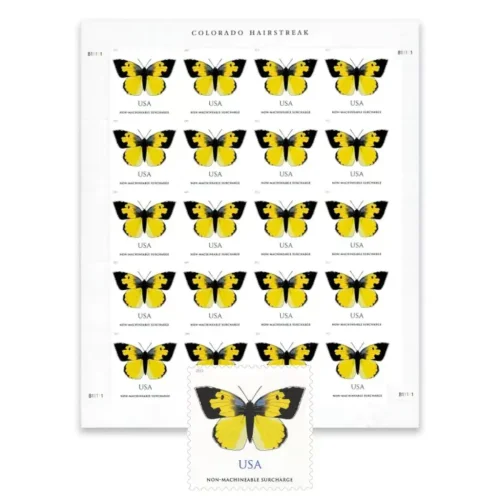 2019 California Dogface Butterfly  5 Books 100pcs