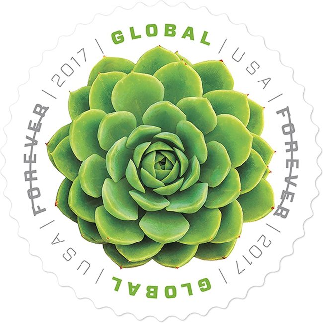 2018  Global Green Succulent 10 Booklets 100pcs