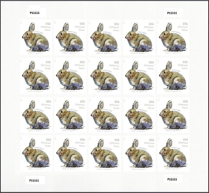 Brush Rabbit 5 sheet of 20, 100 pcs