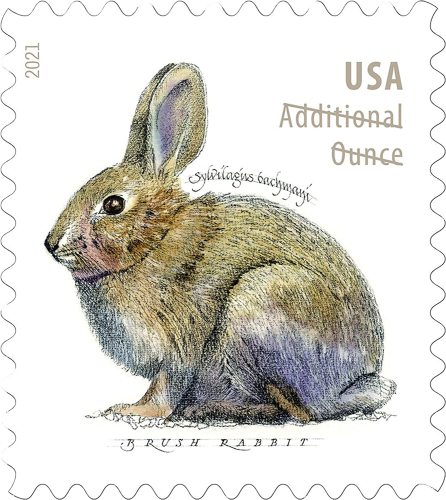 Brush Rabbit, Additional Ounce, 5 sheet of 20, 100 pcs
