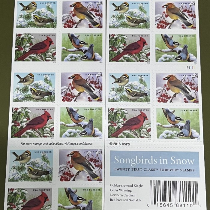 Songbirds in Snow 5 Books of 20, 100pcs