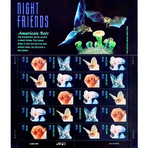 Night Friend 5 Books of 20pcs   total 100pcs