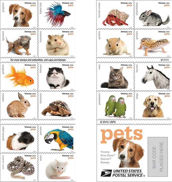 2016 Pets 5 Booklets 100pcs For Jessica