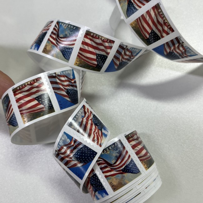 2024 1 Roll 100pcs