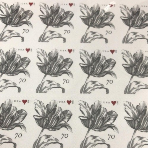 2015 Black tulip 70 cents 5 books of 20PCS, total 100pcs