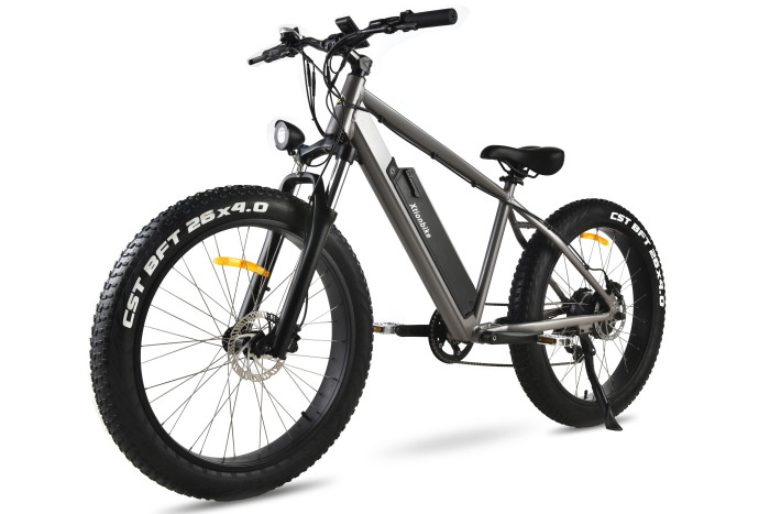 Diego Electric Fat-Tire Bike