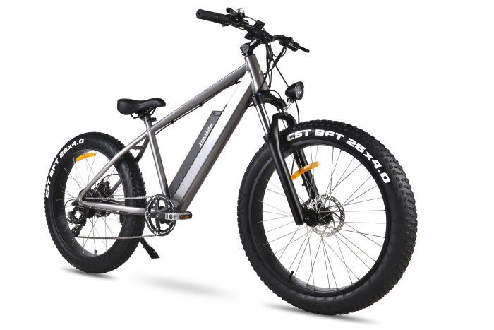 Diego Electric Fat-Tire Bike