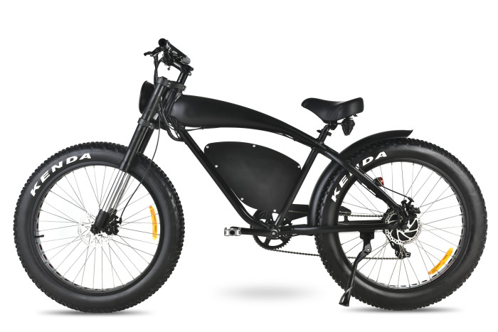 Chariot XI Electric Fat-Tire Bike