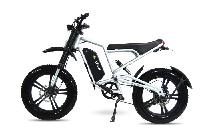 X1000 Fat-Tire Dirt E-Bike